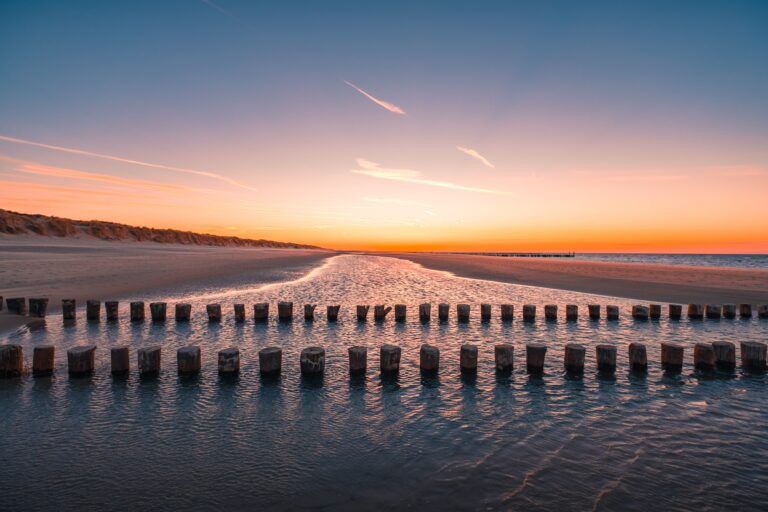 A beautiful view of logs of wood in the water on the beach captured in Oostkapelle, Netherlands